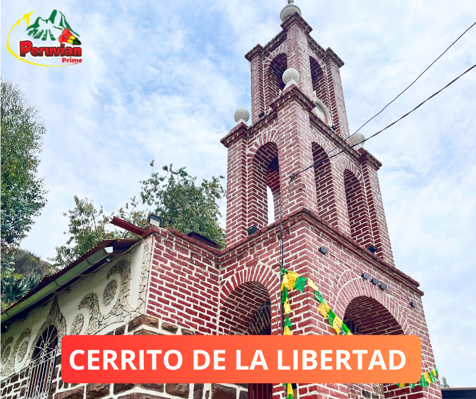 Imagen 5